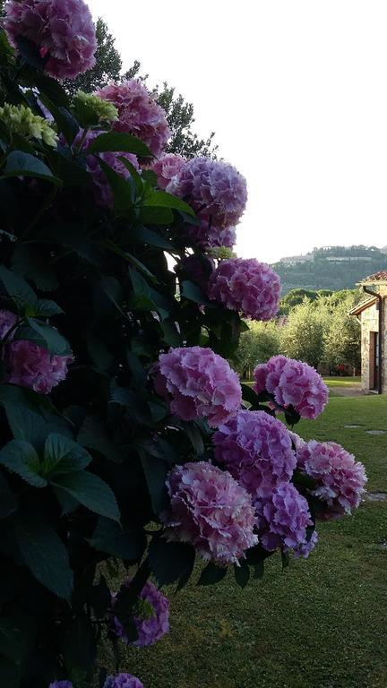 Villa Frateria Di San Benedetto Montepulciano Stazione Exterior foto